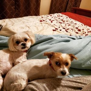 Meet your Posher, Pauline